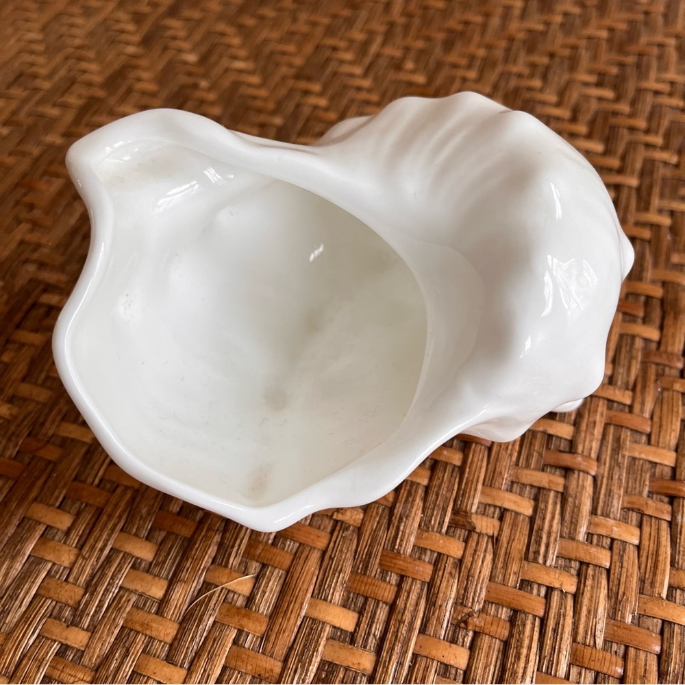 Wedgewood Nautilus Collection Bone China Conch Shell - 4.5"